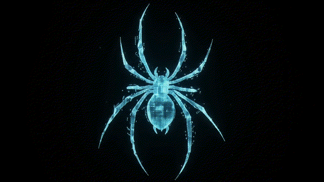 ANAS MD animated spider logo